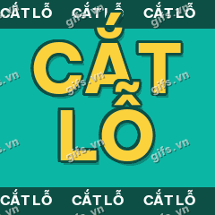CẮT LỖ GIF