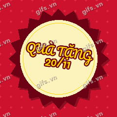 QUÀ TẶNG 20/11 GIF