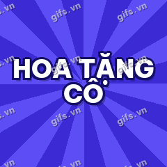 HOA TẶNG CÔ GIF