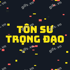 TÔN SƯ TRỌNG ĐẠO GIF