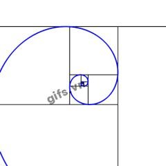 spiral GIF