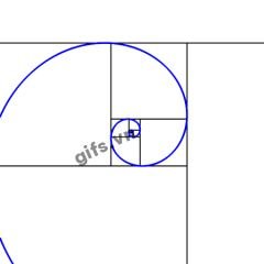 spiral GIF